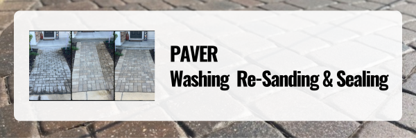 Paver Sealing In Saint Augustine